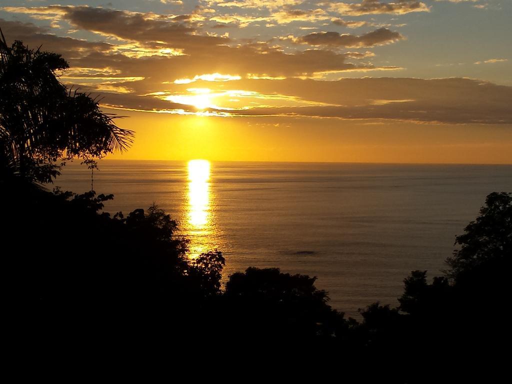 Coyaba Tropical Elegant Adult Guesthouse Manuel Antonio Exterior photo